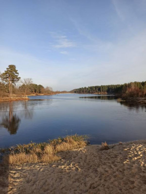 Шарановоды о рыбалке. - IMG-75b4cc5b8e3e11e8227ef1e79aeb66ab-V.jpg