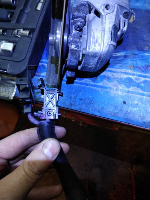 Его необходимо спилить