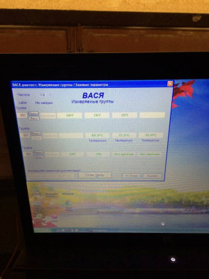 Вася диагност