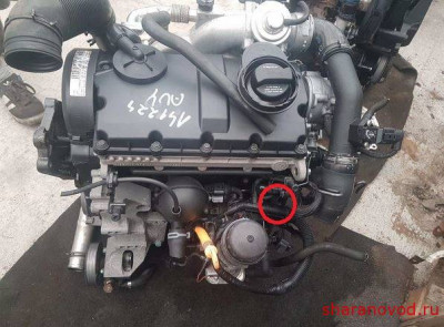 Общие проблемы с дизельным двигателем. - auy.JPG