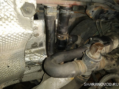 Алая Ева-Мария. Езжу, обслуживаю, забочусь. - IMG_20200711_154123.jpg