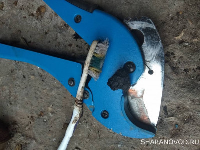 Проблемы с вонючим выхлопом. - IMG_20200802_102222.jpg