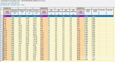 Логи бензиновых двигателей снятие и чтение  - 002_20_31.jpg