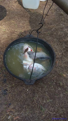 Встреча клуба 2020. Мы вместе 8 лет. - IMG_20200823_110310.jpg