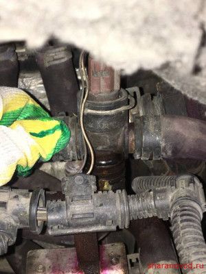 Трубки, патрубки, фланцы и тройники системы охлаждения. - C2FF711D-BC3D-49C2-B7C5-FF673B6C53EF.jpeg