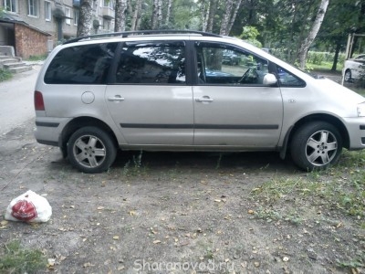 Продам шаран - DSC00255.JPG