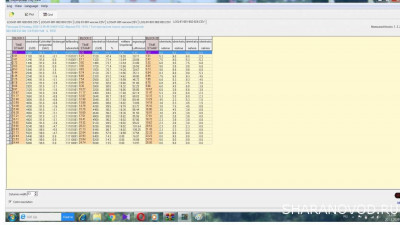 Логи бензиновых двигателей снятие и чтение  - логи двигла.jpg