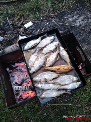 Шарановоды о рыбалке. - IMG_20200703_215815.jpg