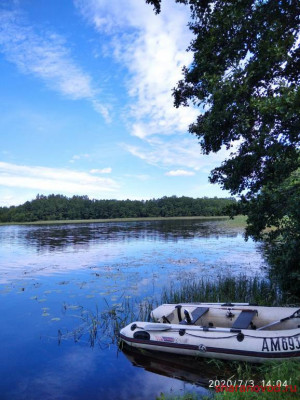 Шарановоды о рыбалке. - IMG_20200703_140444_1.jpg