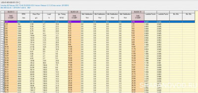 Логи бензиновых двигателей снятие и чтение  - 1.JPG
