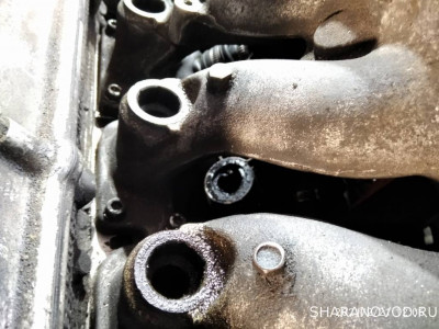 Алая Ева-Мария. Езжу, обслуживаю, забочусь. - IMG_20210221_120617.jpg