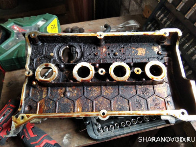 Алая Ева-Мария. Езжу, обслуживаю, забочусь. - IMG_20210221_130109.jpg