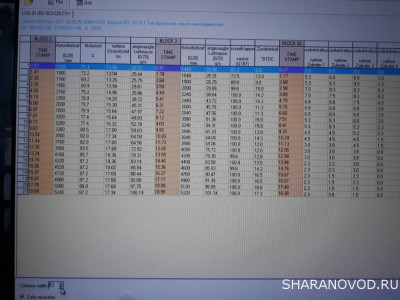 Логи бензиновых двигателей снятие и чтение  - 20210320_170813[1].jpg