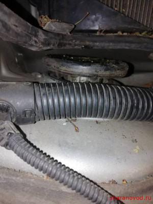 Зазор в рабочем состоянии, подушка еще не просевшая вроде