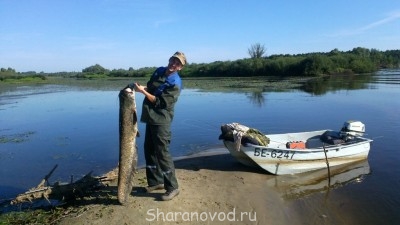 Шарановоды о рыбалке. - 2013-08-18-220.jpg