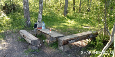 Шарановоды о рыбалке. - лес.JPG