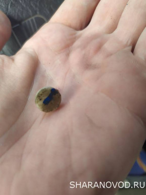 Опознать деталь - IMG_20210804_123609.jpg