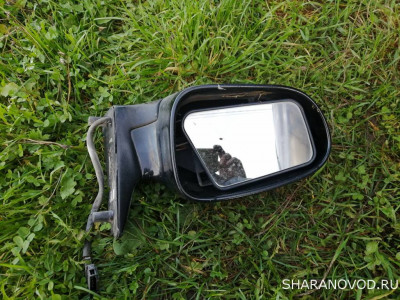 Разбор Шаран 96 г - IMG_20210910_174552.jpg