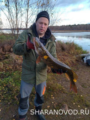 Шарановоды о рыбалке. - щука а.JPG