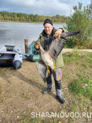 Шарановоды о рыбалке. - гусь.JPG