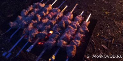 Шарановоды о рыбалке. - жерл4.JPG