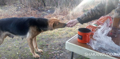 Шарановоды о рыбалке. - друж.JPG