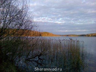 Шарановоды о рыбалке. - IMG_20150418_194150.jpg