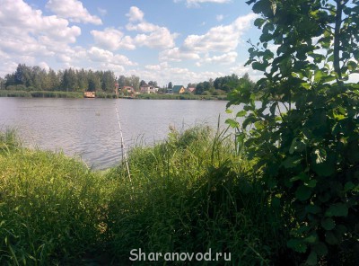 Шарановоды о рыбалке. - IMG_20140726_122155.jpg