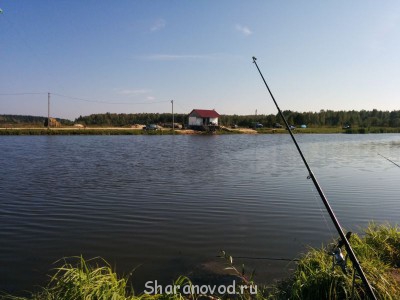 Шарановоды о рыбалке. - IMG_20140912_111502.jpg