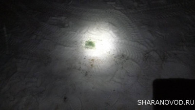 Странная зильоная жижка обнаружилась