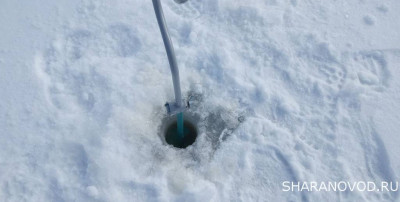 Шарановоды о рыбалке. - жив2.JPG