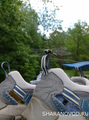 Встреча клуба 2022. Юбилейная. Нам 10 годочков. - IMG_20220612_113044.jpg