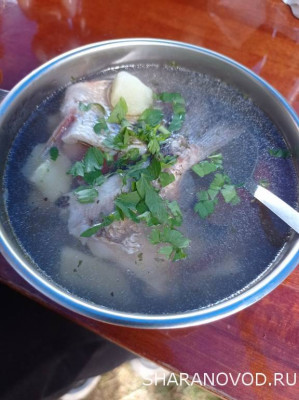 Встреча клуба 2022. Юбилейная. Нам 10 годочков. - IMG_20220612_121819.jpg