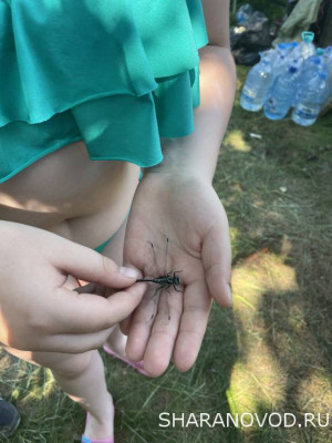 Встреча клуба 2022. Юбилейная. Нам 10 годочков. - 4D45C2F5-BBD1-4BE6-8AB2-34C63A3AA34D.jpeg