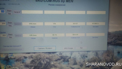 Логи бензиновых двигателей снятие и чтение  - IMG_20220820_183952.jpg