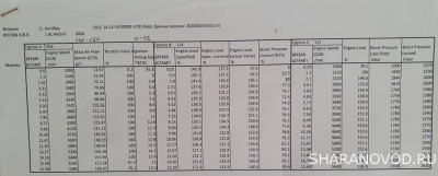 Логи бензиновых двигателей снятие и чтение  - 20221012_151043.jpg