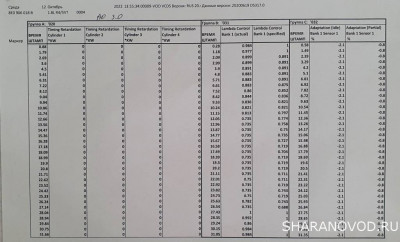 Логи бензиновых двигателей снятие и чтение  - 20221012_151128.jpg