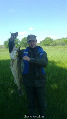 Шарановоды о рыбалке. - 2015-05-19-097.jpg