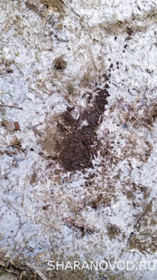 Общие проблемы с дизельным двигателем. - IMG_20230128_124829_1.jpg