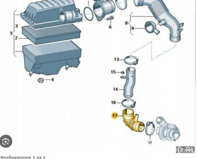 Вот этого парня порвали. Всего год ему был.