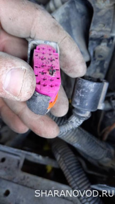 Помощь новичкам не знаем в какую ветку писать - пишем сюда  - IMG-20230706-WA0002.jpeg