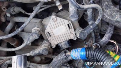 Помощь новичкам не знаем в какую ветку писать - пишем сюда  - IMG_2023_07_06_17_57_42_8158875141519477109334.jpg