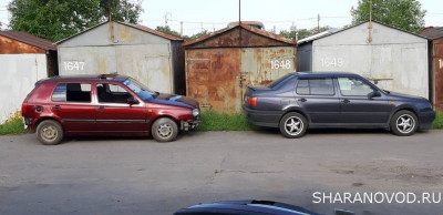 Просто мой Шарик  - 20200624_181045.jpg