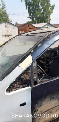 Просто мой Шарик  - 20210709_142733.jpg