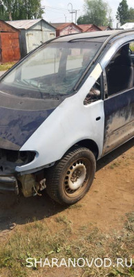 Просто мой Шарик  - 20210709_142738.jpg