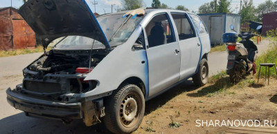 Просто мой Шарик  - 20210727_140208.jpg