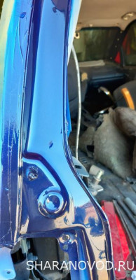 Просто мой Шарик  - 20210703_150936.jpg