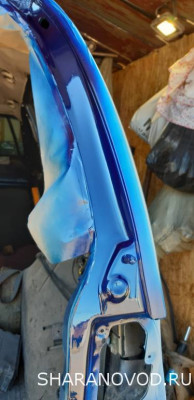 Просто мой Шарик  - 20210703_150942.jpg