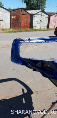 Просто мой Шарик  - 20210703_150950.jpg