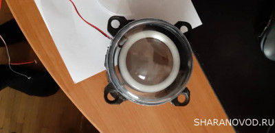 Просто мой Шарик  - 20221022_130037.jpg